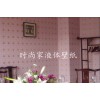綠色環保建材，投資創業好項目，鎮江時尚家墻藝漆