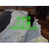 廠家直銷》》水渠防滲專用復合土工膜800g水存儲防滲膜
