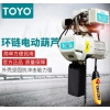 進(jìn)口東洋電動(dòng)葫蘆|TOYO鏈條電動(dòng)葫蘆|安全可靠