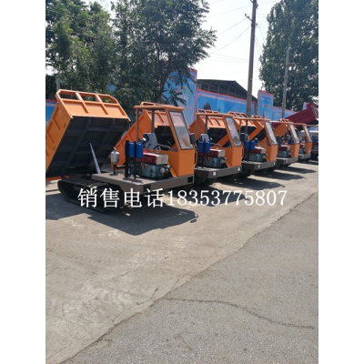 沙漠履帶運輸車 海灘履帶平板車