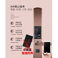 9C指紋鎖家居智能門鎖多種開鎖方式