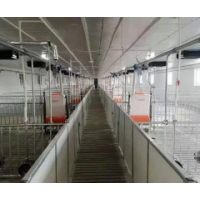 采購養豬設備的注意事項