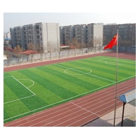 承接鋪設塑膠跑道 塑膠球場 硅PU球場 PVC運動地板