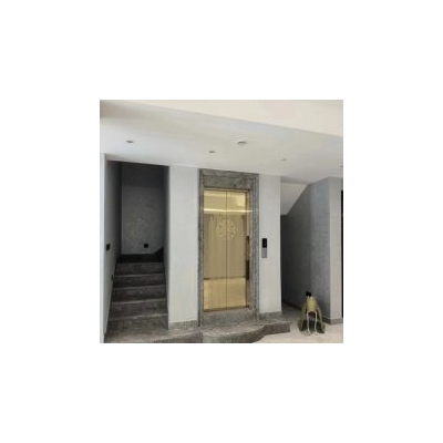 河北電梯廠家小區(qū)電梯 別墅電梯 商場扶梯 乘客醫(yī)用電梯定制