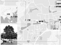 ENVI-met 喬木模型對亞熱帶濕熱地區四種常用喬木的模擬驗證