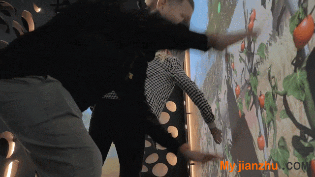 微信圖片_20240412093706.gif