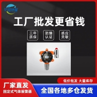無線式RTO催化燃燒檢測儀產品說明書