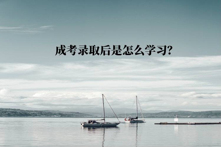 成考錄取后是怎么學(xué)習(xí)？