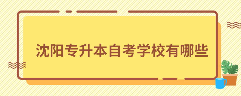 沈陽專升本自考學(xué)校有哪些