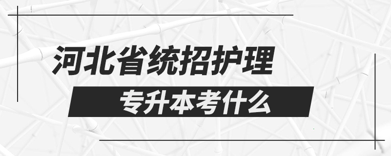 河北省統(tǒng)招護(hù)理專(zhuān)升本考什么