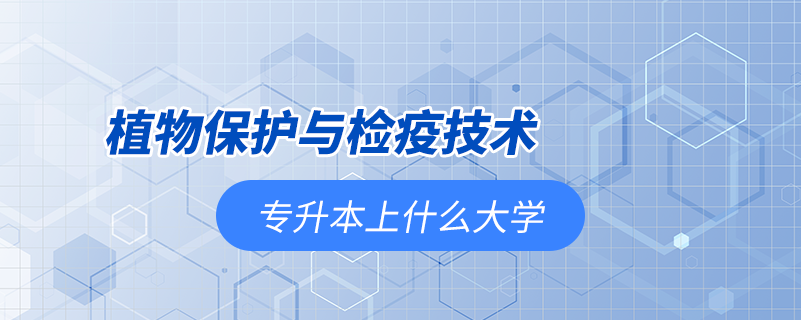 植物保護與檢疫技術專升本能上什么大學