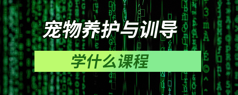 寵物養(yǎng)護與訓導學什么課程