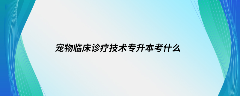 寵物臨床診療技術專升本考什么