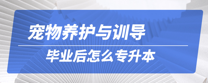 寵物養(yǎng)護與訓導畢業(yè)后怎么專升本