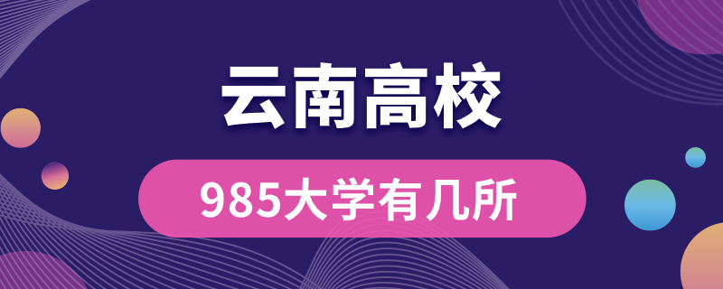 云南985大學有幾所