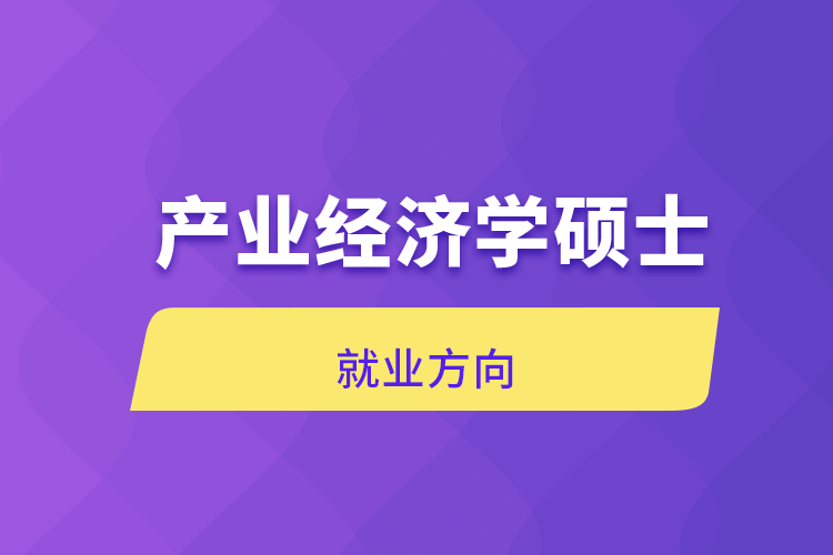 產(chǎn)業(yè)經(jīng)濟學碩士就業(yè)方向