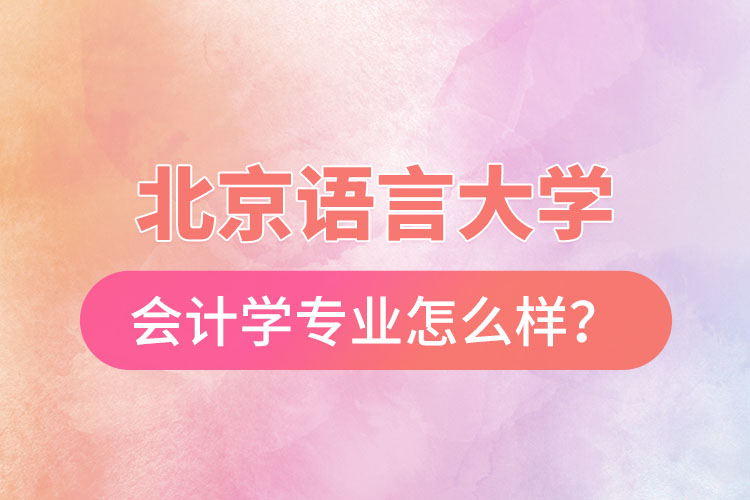 北京語言大學(xué)會(huì)計(jì)學(xué)專業(yè)怎么樣？