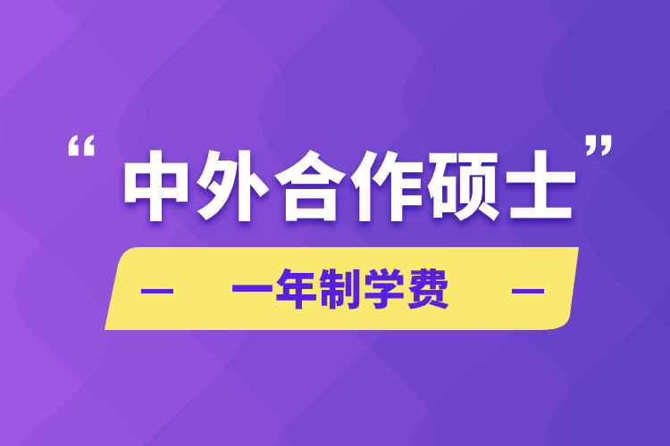 中外合作碩士一年制學(xué)費