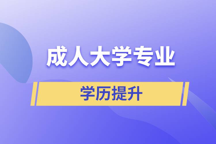 成人大學哪個專業(yè)含金量高