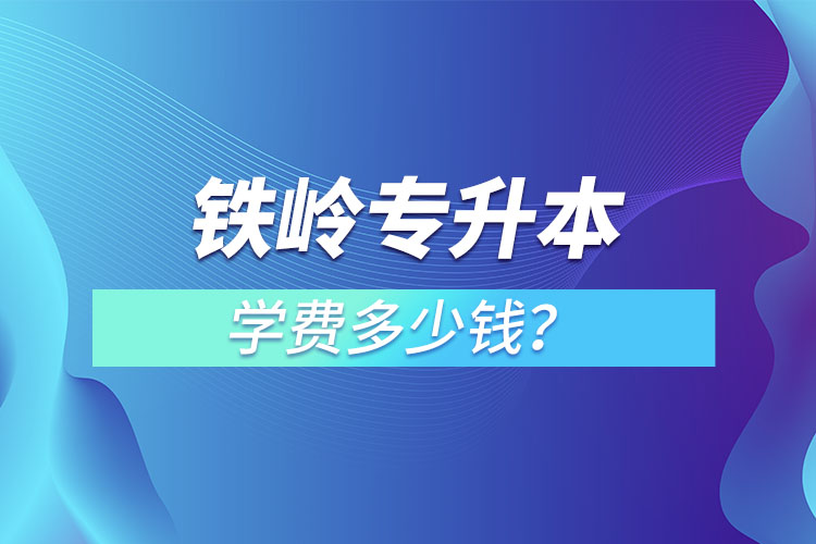 鐵嶺專升本學(xué)費(fèi)大概多少錢一年？