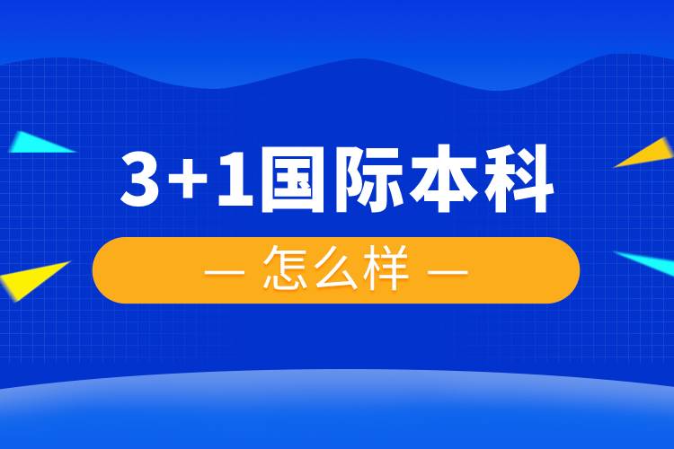 3+1國(guó)際本科怎么樣