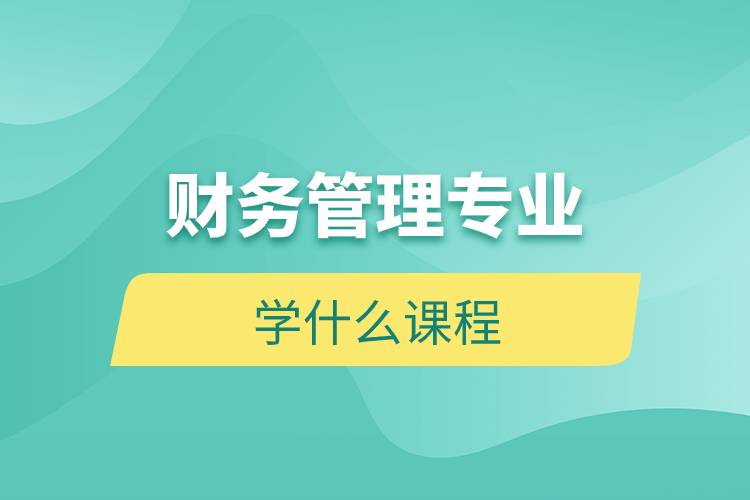 財務(wù)管理專業(yè)學什么課程