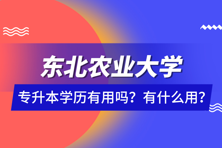 東北農(nóng)業(yè)大學專升本學歷有用嗎？有什么用？