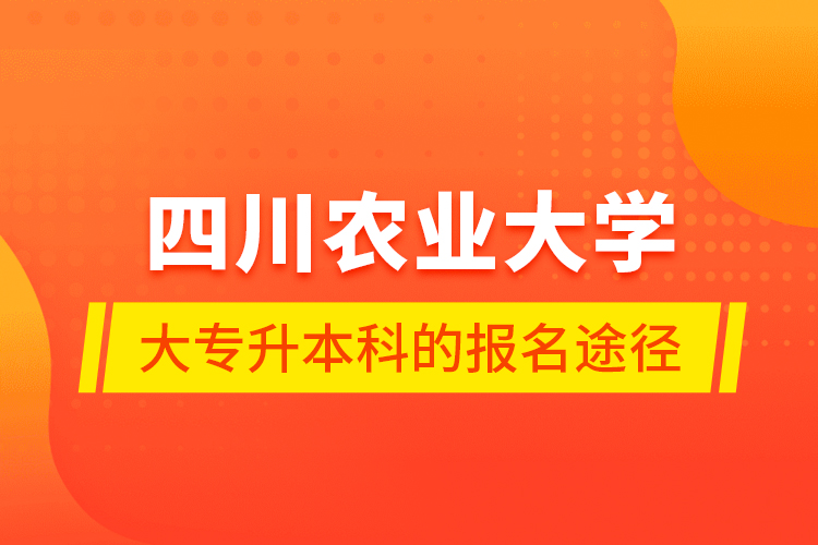 四川農(nóng)業(yè)大學(xué)大專升本科的報(bào)名途徑