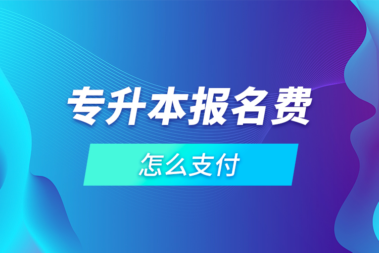 專升本報(bào)名費(fèi)怎么支付