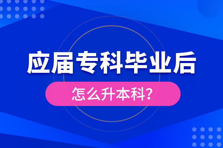 應屆?？飘厴I(yè)后怎么升本科？