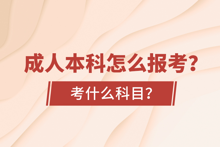 成人本科怎么報考？考什么科目？