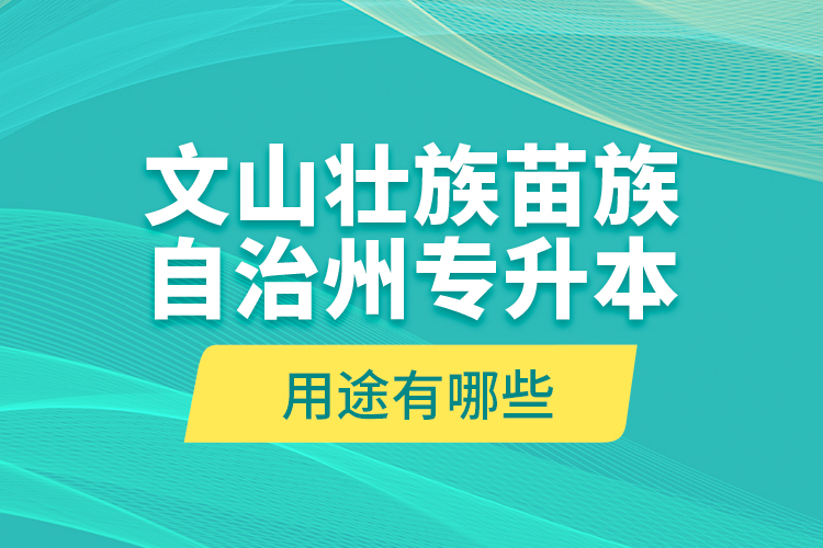 文山壯族苗族自治州專升本的用途有哪些？