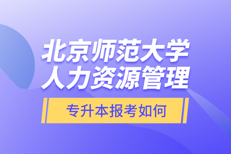 北京師范大學人力資源管理專升本報考如何？