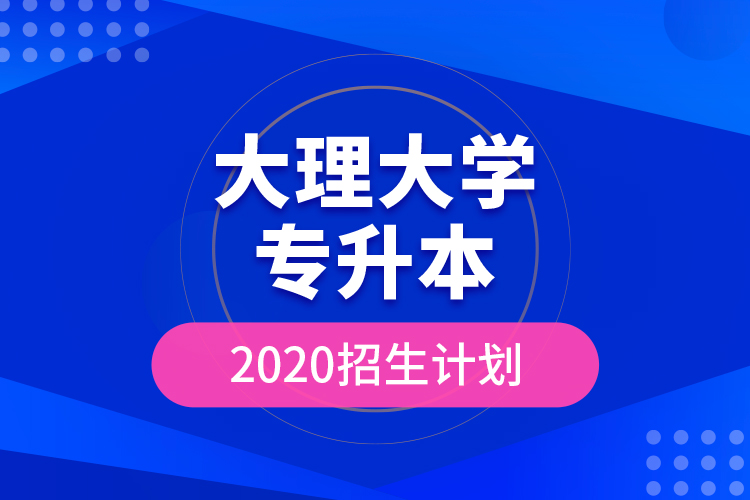 大理大學(xué)專升本2020招生計劃