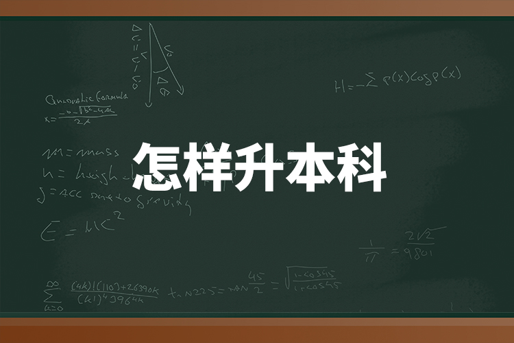 怎樣升本科？